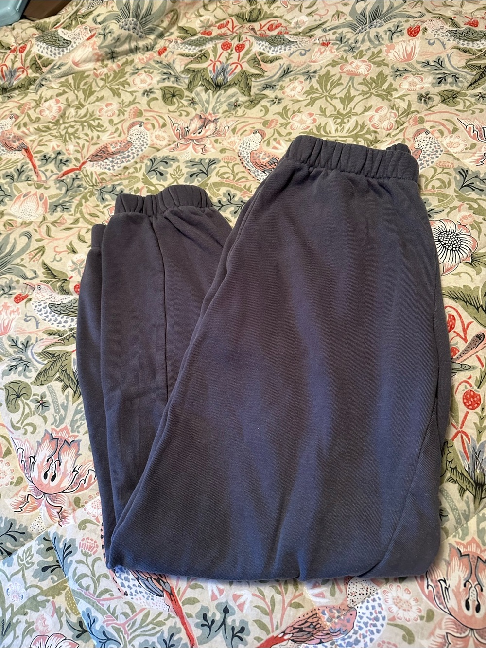 Brandy Melville Blue Sweatpants - Cozy Joggers